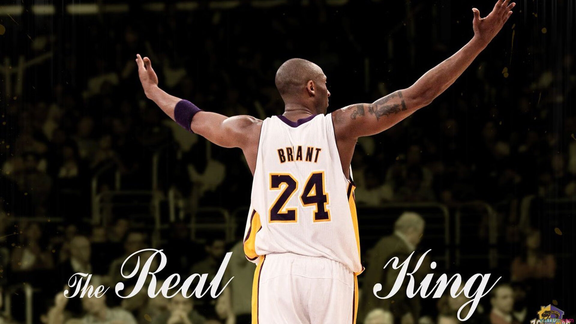 新闻中心组织社会公益活动,公益新闻报道